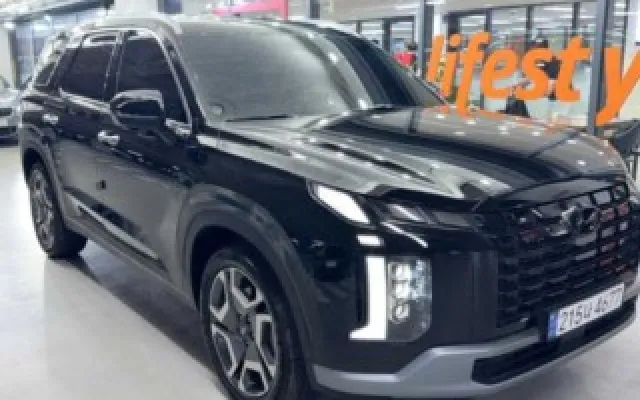 수원신용불량자중고차할부 더 뉴 팰리세이드 가솔린 3.8 2WD 매물 사진 20 - 2025/01 12,311km
